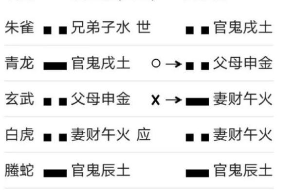 地势在八字命理中的地位与影响分析