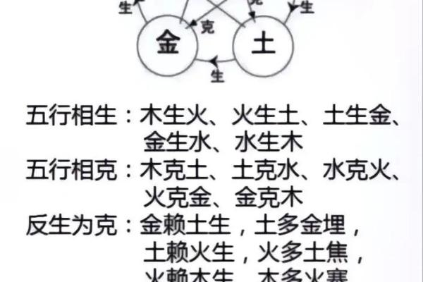 十二生肖与五行的相生相克关系