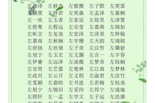 如何为女宝宝选择寓意深远的名字