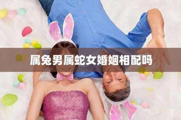 蛇男兔女婚姻能否幸福：性格与相处模式的关键因素