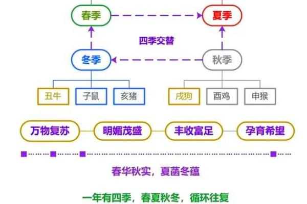 从十二生肖看中国古代天文学的智慧