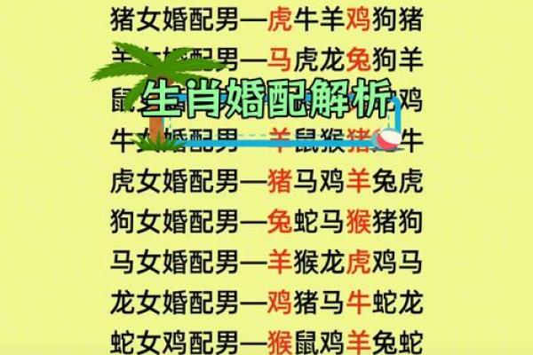 生肖龙与生肖猪的婚配：是否天作之合