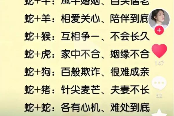 男兔女鼠婚姻匹配度分析：幸福与挑战并存的关系模式