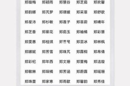 给鸡宝宝起名字时需要注意的几点