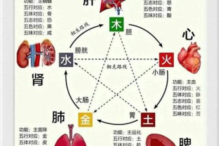 数字与五行的奥秘：如何通过数字解读五行能量