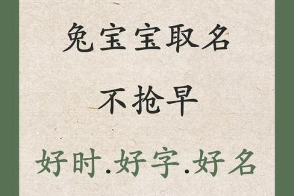 免费宝宝起名字大全，寓意美好又独特