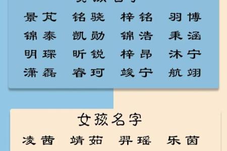 五月宝宝名字选择指南，如何挑选最合适的名字