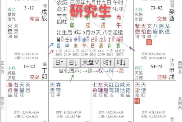 八字命盘分析软件的优势与使用技巧