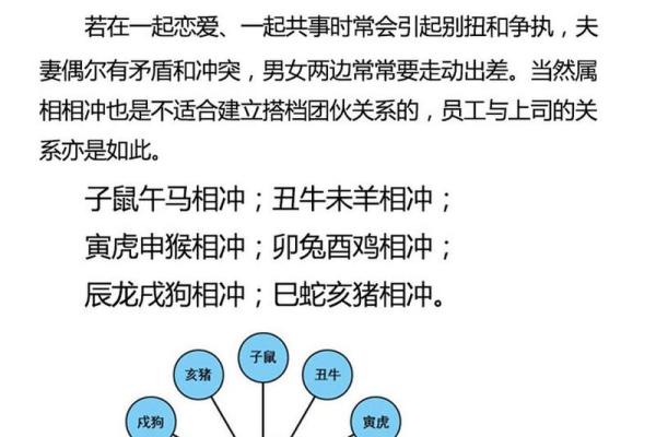 牛兔相配如何？从生肖角度看性格合适度