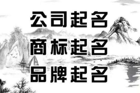 子公司起名的五大原则，助力企业发展