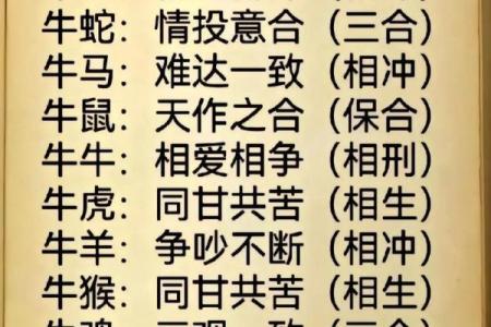 牛兔相配如何？从生肖角度看性格合适度