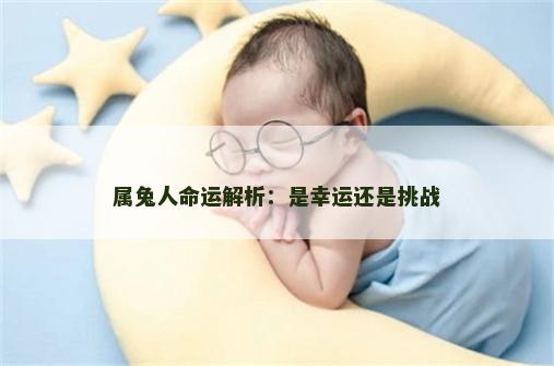 属兔人命运解析：是幸运还是挑战