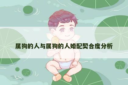 属狗的人与属狗的人婚配契合度分析