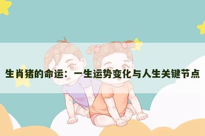 生肖猪的命运：一生运势变化与人生关键节点