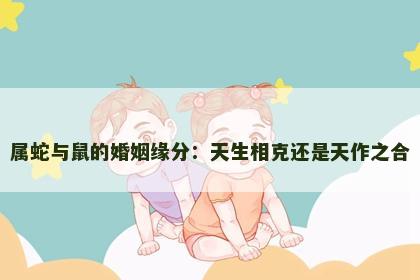 属蛇与鼠的婚姻缘分：天生相克还是天作之合