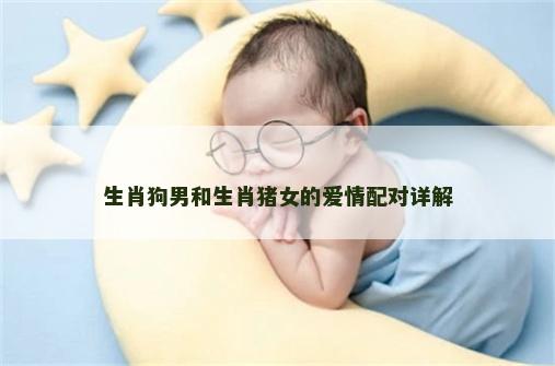 生肖狗男和生肖猪女的爱情配对详解