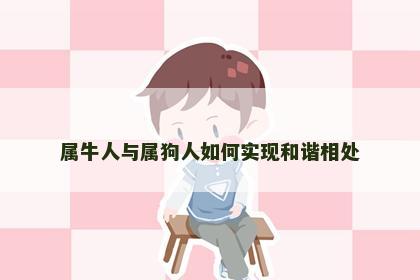 属牛人与属狗人如何实现和谐相处