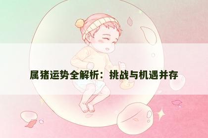 属猪运势全解析：挑战与机遇并存