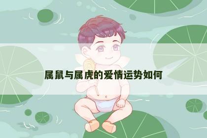 属鼠与属虎的爱情运势如何