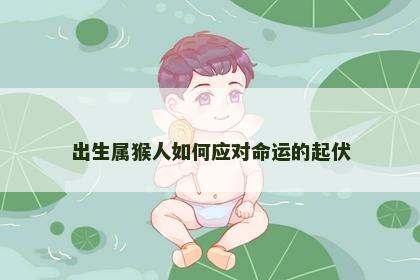 出生属猴人如何应对命运的起伏