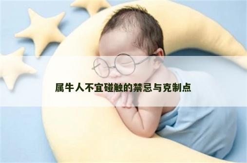 属牛人不宜碰触的禁忌与克制点