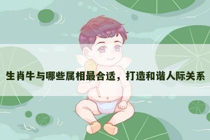 生肖牛与哪些属相最合适，打造和谐人际关系