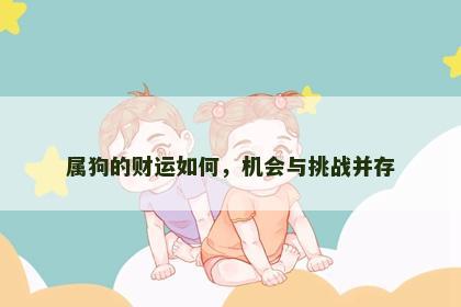 属狗的财运如何，机会与挑战并存