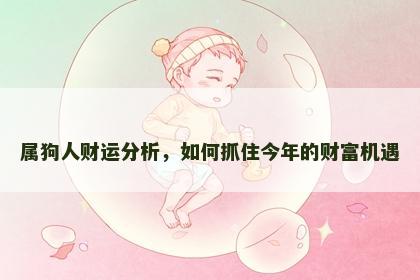 属狗人财运分析，如何抓住今年的财富机遇