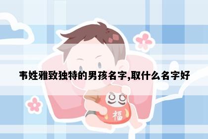 韦姓雅致独特的男孩名字,取什么名字好