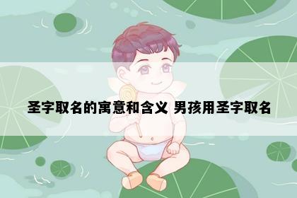 圣字取名的寓意和含义 男孩用圣字取名