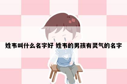 姓韦叫什么名字好 姓韦的男孩有灵气的名字